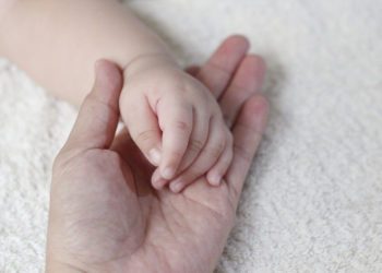 Município recebe cinco novos notebooks