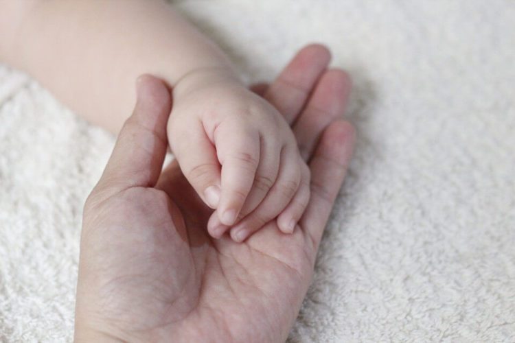 Município recebe cinco novos notebooks