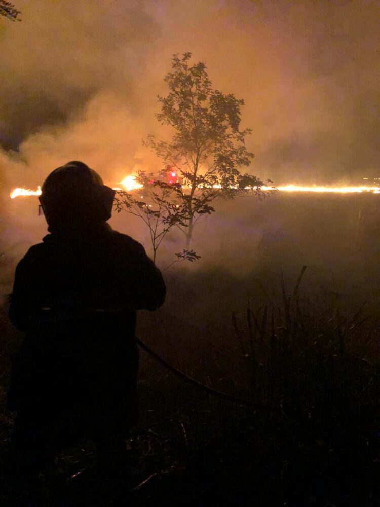 Paranavaí registra 84 incêndios  ambientais no primeiro semestre