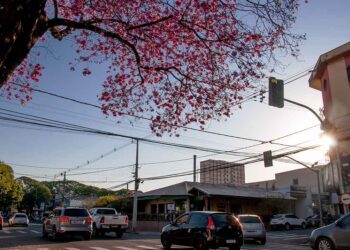 Nova onda de frio está prevista para  a próxima semana em Paranavaí