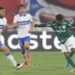 Palmeiras terá tabu de 11 anos a seu  favor para avançar na Libertadores