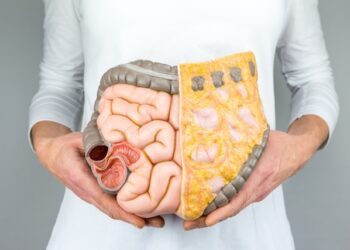Conheça as possíveis causas de obstrução intestinal