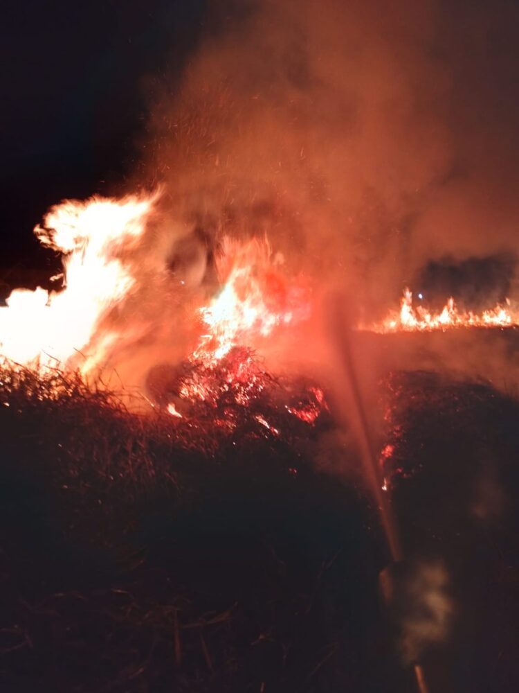 Incêndio destrói cerca de 10 mil m² de vegetação em um terreno em Paranavaí