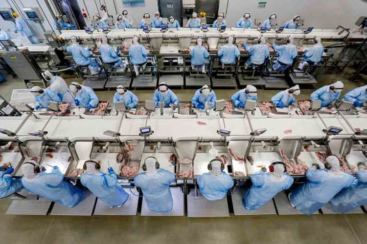 Com saldo de quase 16 mil vagas, Paraná lidera geração de empregos em maio no Sul
