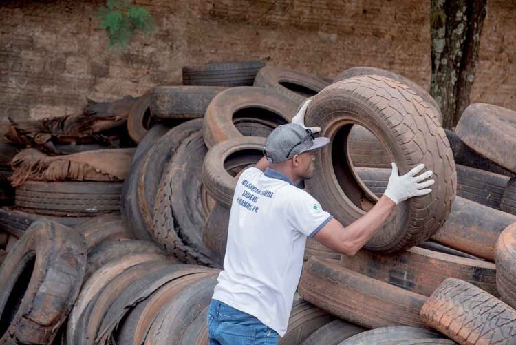 Regional de Saúde alerta: este é o melhor momento para prevenir epidemia de dengue