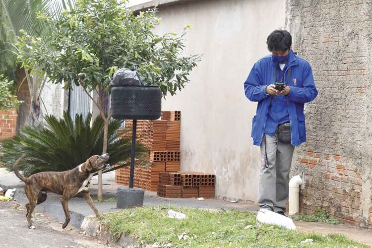 Guarda responsável de animais pode  evitar ataques de cães contra leituristas