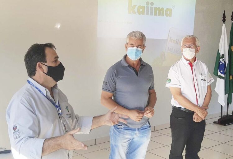 Mamona pode ser alternativa para  diversificação agrícola, diz Ivo Pierin