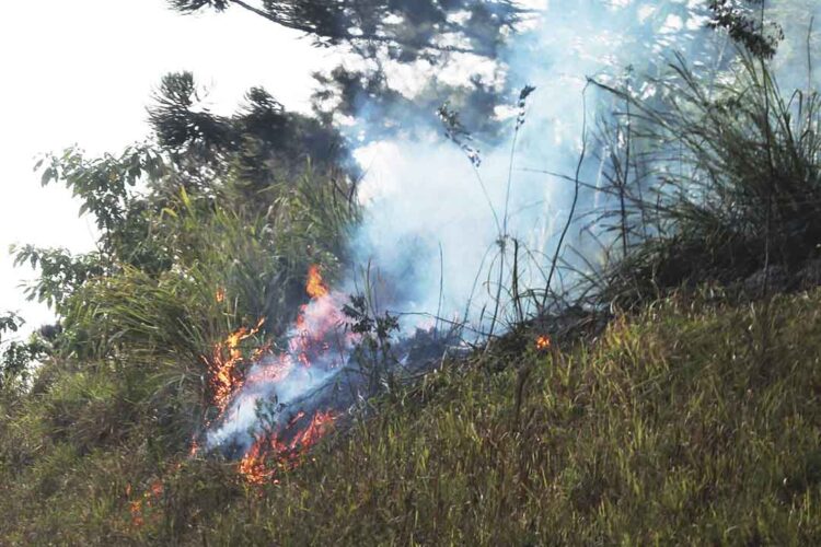 Com 268 focos no fim de semana, Paraná acende alerta para incêndios florestais