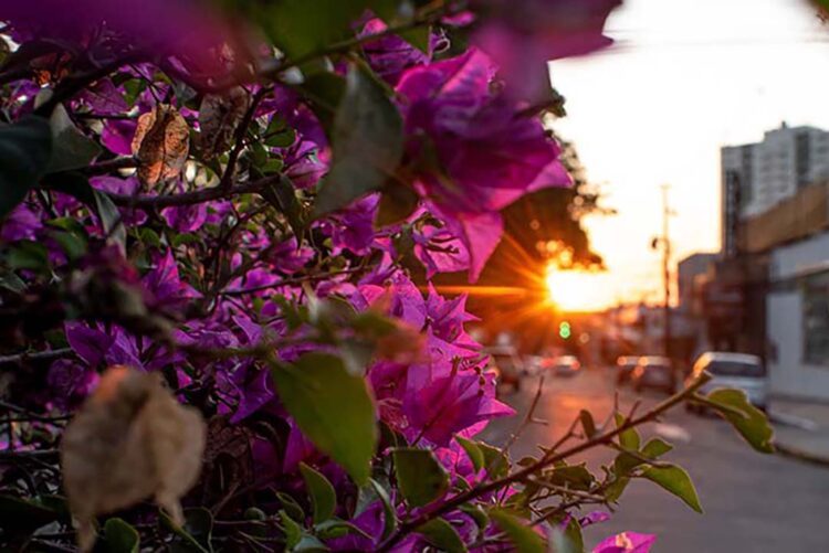 Primavera tem início hoje e perspectiva  é de chuvas mais regulares em Paranavaí