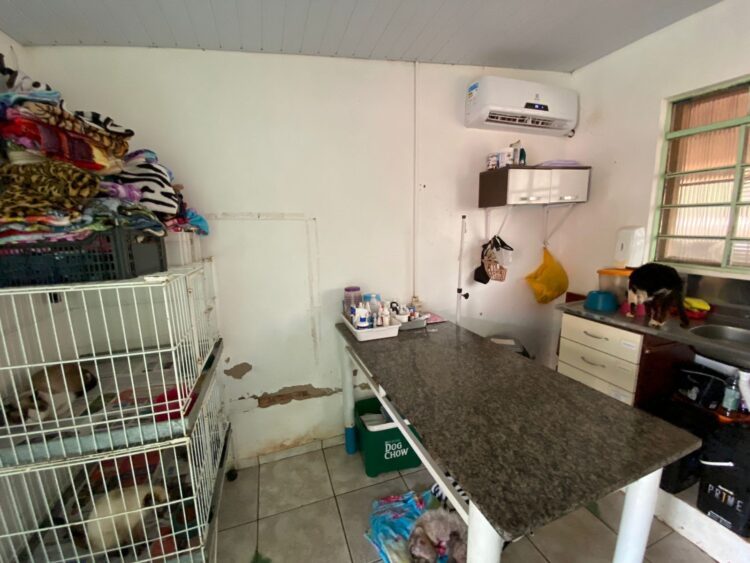 Spap abre as portas para visitação e promove feira de adoção