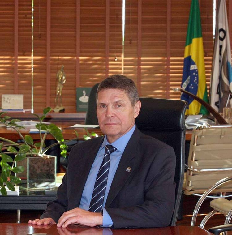 Mercado, Estado e desenvolvimento