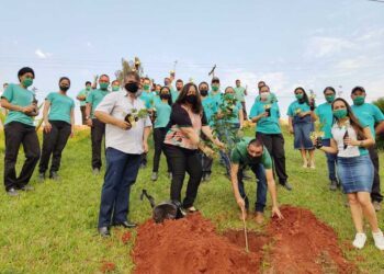Dia da Árvore é comemorado com distribuição e plantio de mudas frutíferas
