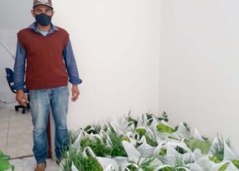 Produtores fornecem alimentos frescos  para o município através do PAA