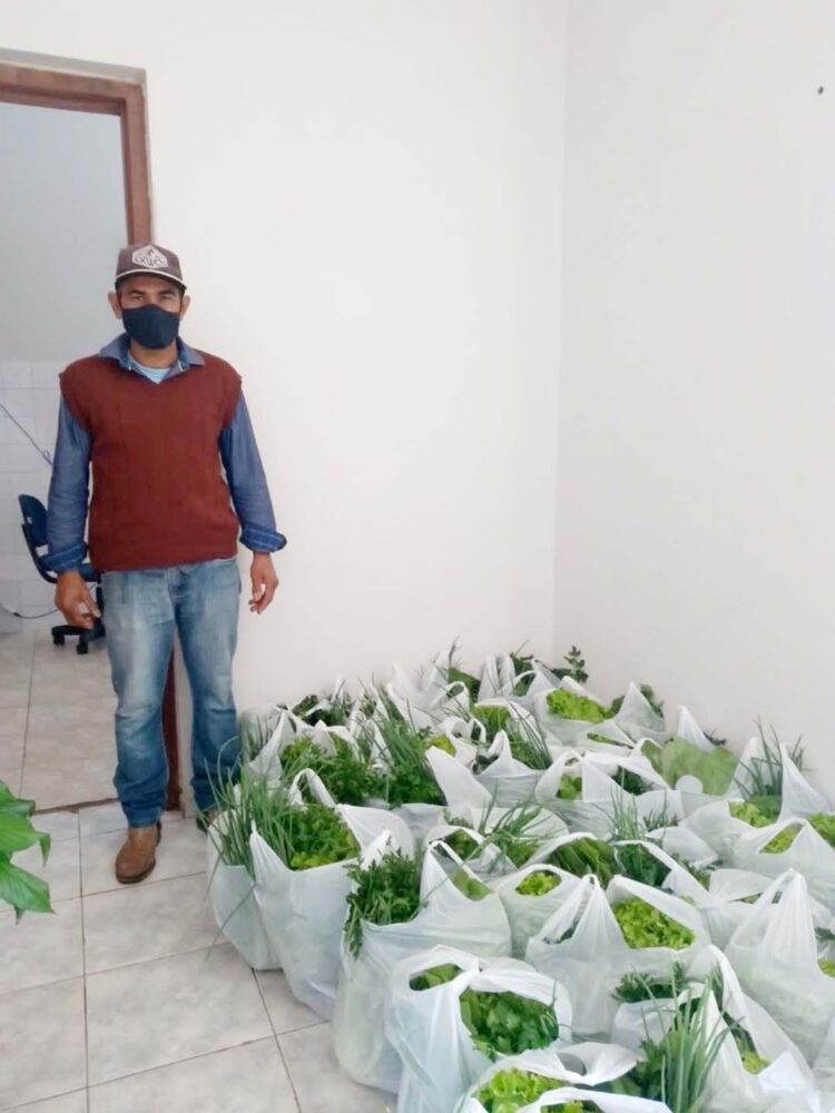 Produtores fornecem alimentos frescos  para o município através do PAA