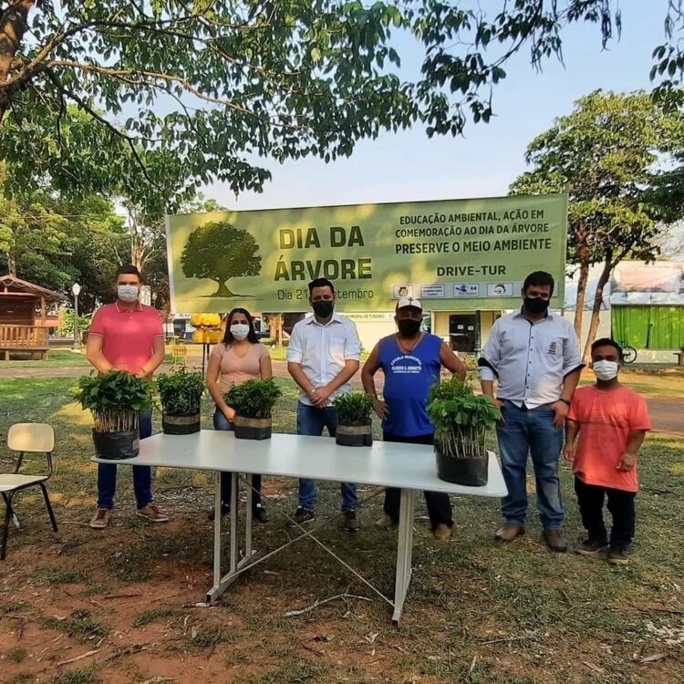 Drive ambiental distribui mais de mil mudas