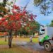 Prefeitura revitaliza Praça Central Prefeita Drª Rose