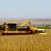 Paraná deve produzir 25,5 milhões de  toneladas de grãos na safra de verão