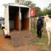 Animal solto em via pública é crime e passível de multa