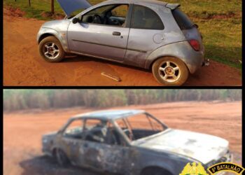 PM localiza Ford/Ka abandonado em Terra Rica; havia uma vaca no interior do veículo