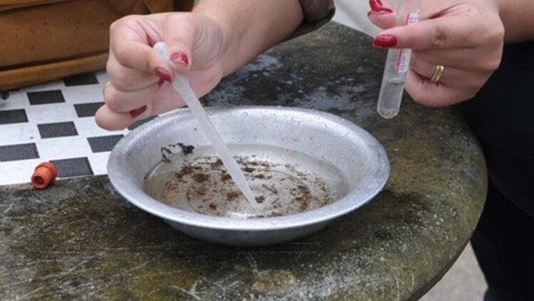 Informe semanal totaliza 301 casos da doença no Paraná