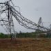 Danos na rede de energia interrompem fornecimento a 170 mil unidades consumidoras
