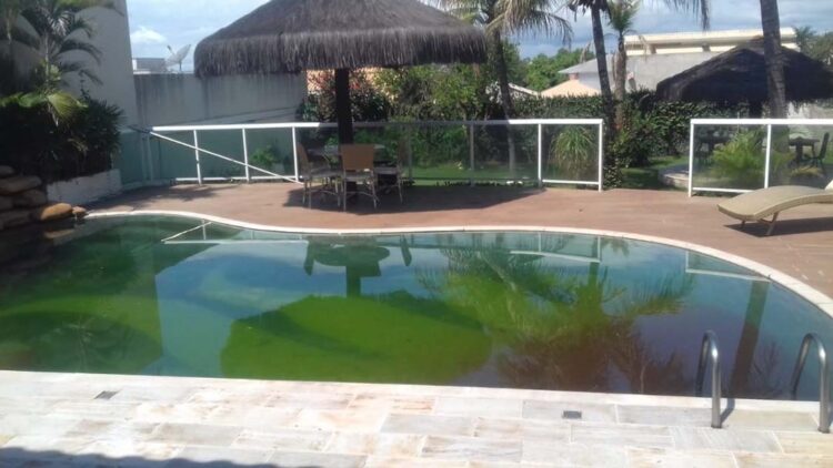 Agentes de combate à dengue seguem encontrando  focos em piscinas de casas de veraneio