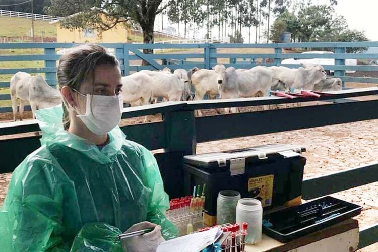 Veterinários do setor privado devem se  recadastrar na Adapar em novembro