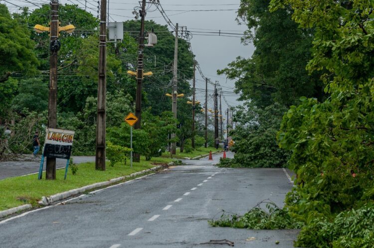 Depois da tempestade: 230 mil casas da região ficaram sem luz