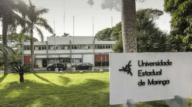 UEM visa contratação de até 40 professores temporários para quatro campi
