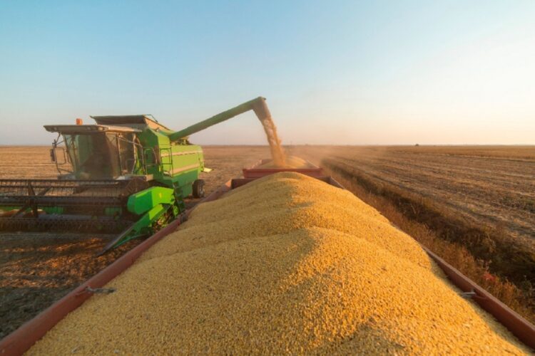O avanço da diversidade no agronegócio do Brasil