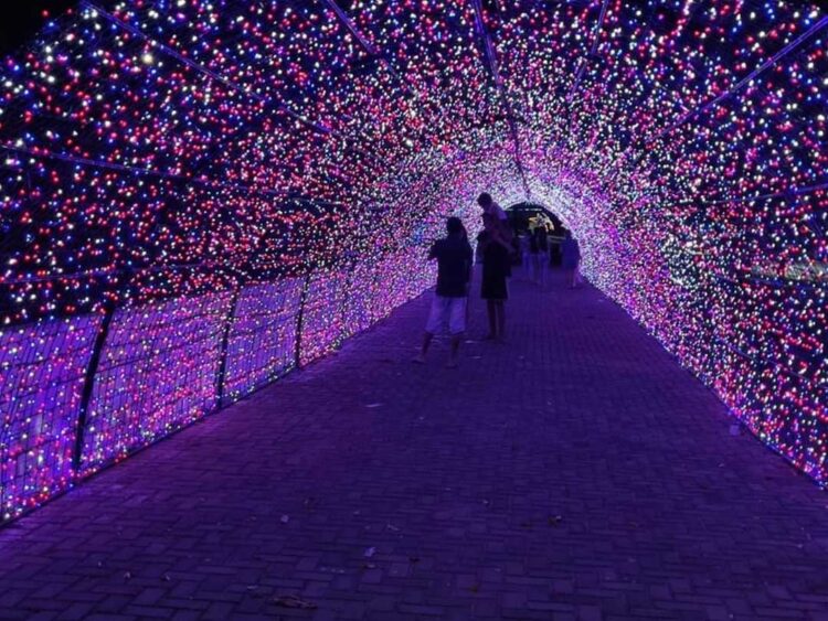 Orla de Porto Rico está toda iluminada  e encanta moradores e turistas