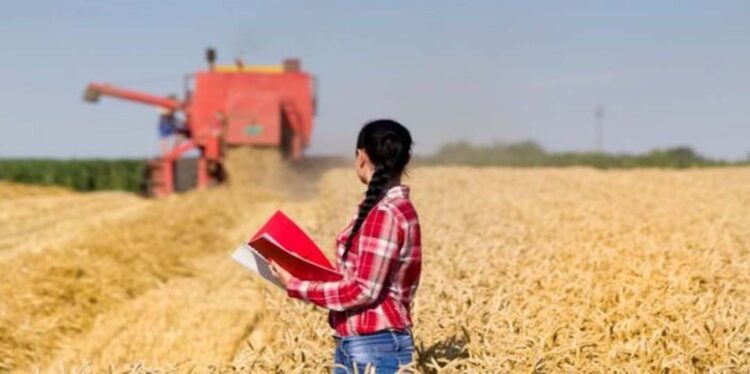 Cresce o número de lideranças femininas no agronegócio