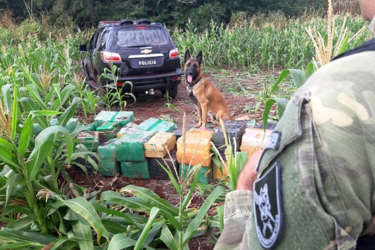 219 toneladas de drogas foram apreendidas nos primeiros nove meses do ano