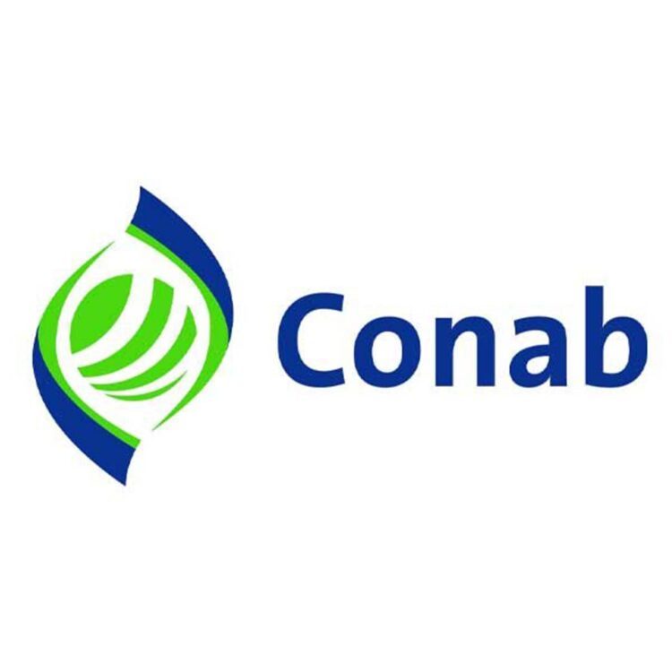 Conab realiza reuniões orientativas  sobre ferramenta de apoio a extrativistas