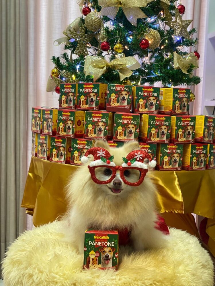 PRESENTE DE NATAL PARA O SEU PET