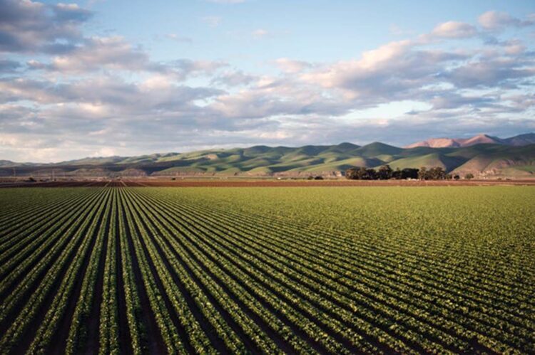 Agronegócio se prepara para nova fase  do registro de Cédula de Produto Rural