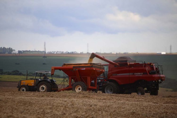Com estiagem, previsão de safra aponta  redução de 39% no potencial da soja