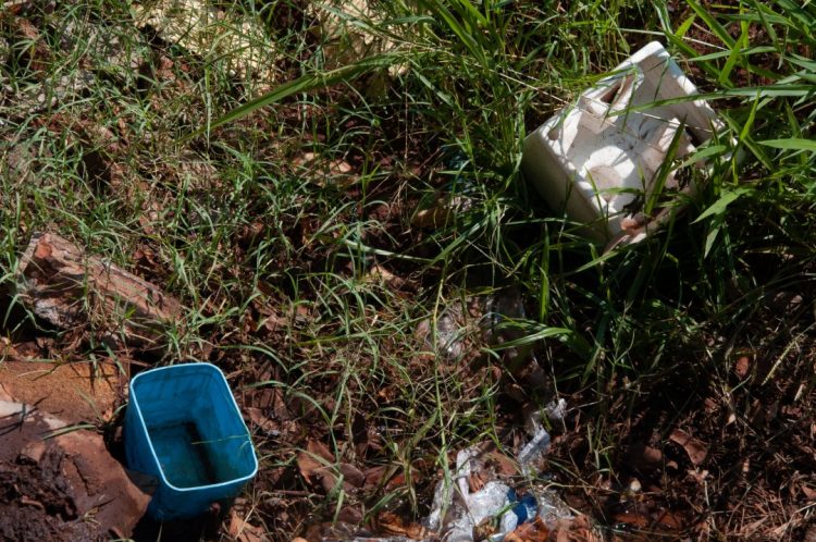 Paranavaí tem médio risco de infestação do mosquito da dengue, aponta levantamento