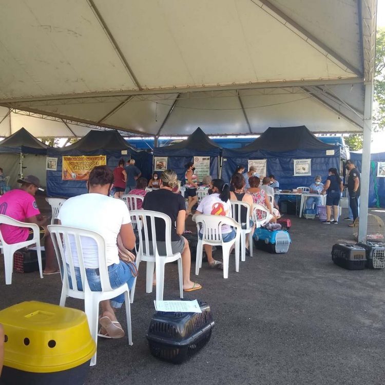 Diamante do Norte recebe programa CastraPet