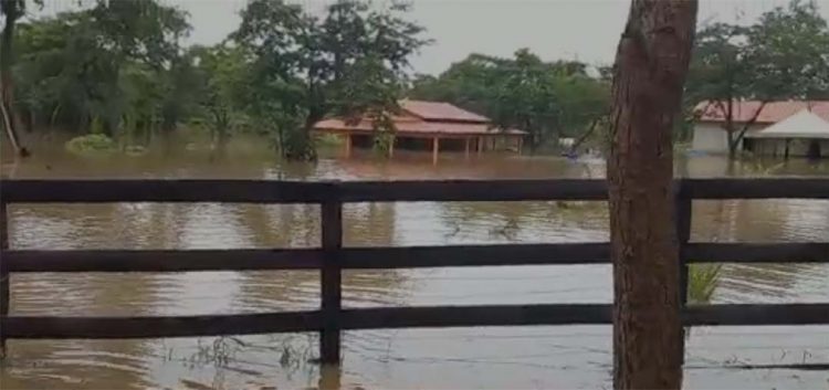 Goiás enfrenta fortes chuvas e 15 cidades decretam situação de emergência