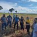Deputada federal Aline Sleutjes visita Querência do Norte