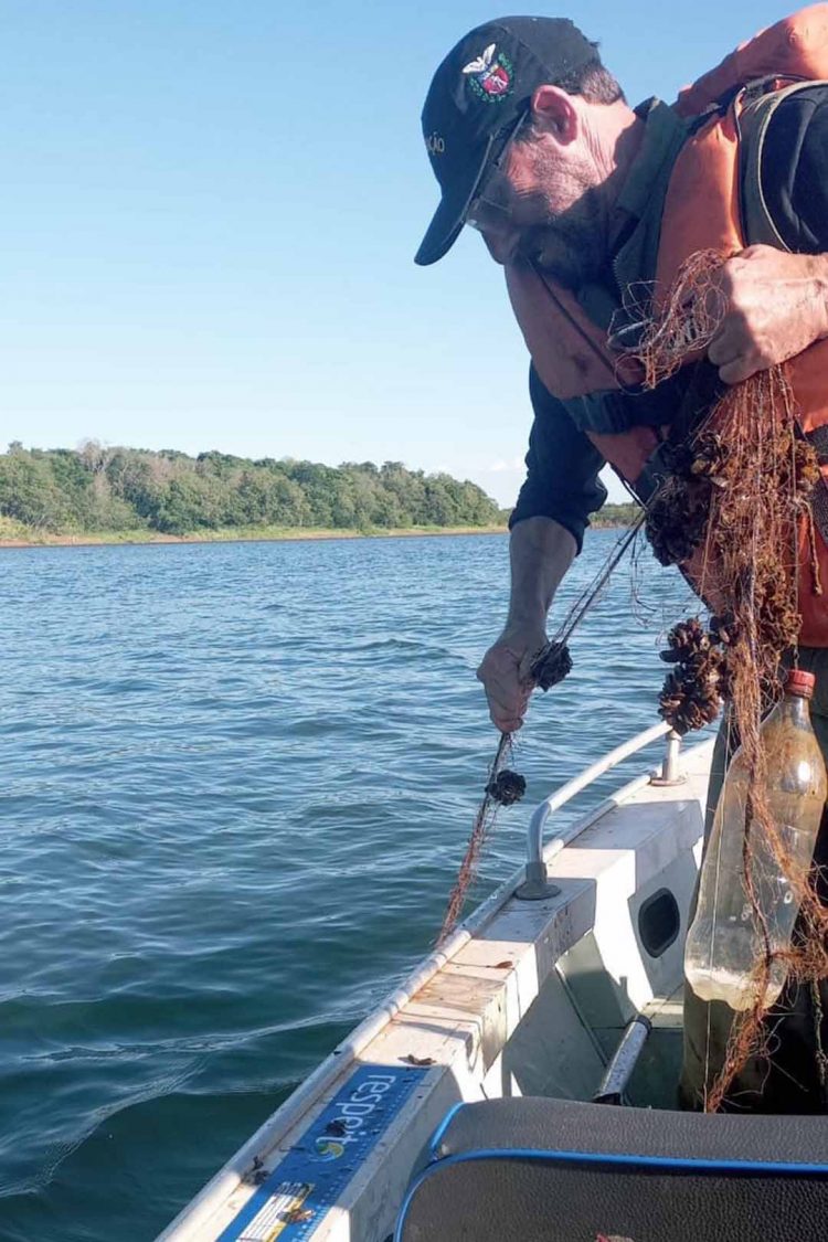 IAT combate desmatamento e pesca ilegal no  Oeste e no Noroeste e aplica R$ 320 mil em multas