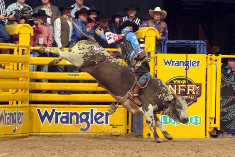 Melhores competidores de rodeio do país estarão na Expo Monte Castelo