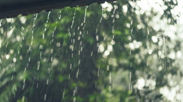 Captação de água da chuva é estratégia para diminuir consumo