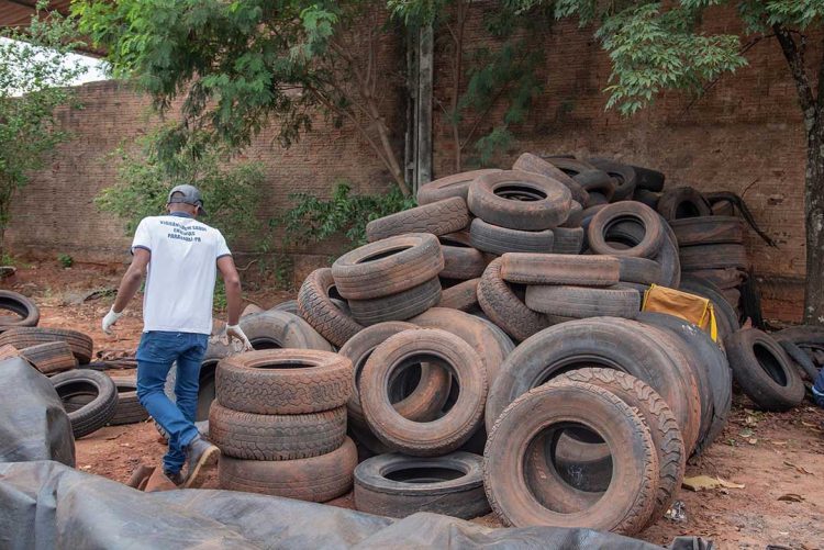 Sesc PR e SESA juntos na campanha
