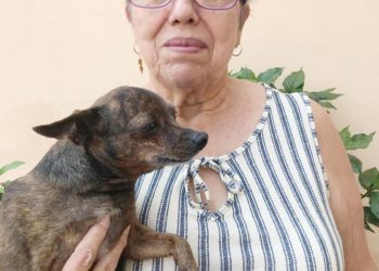 Espaço PET 05 a 07/02