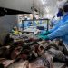 Paraná aumenta produção de peixes  em 9,3% e mantém liderança nacional