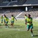 Palmeiras inicia preparação para a grande final
