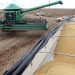 Conab aponta para uma produção de grãos  em 268,2 milhões de toneladas na safra 2021/22