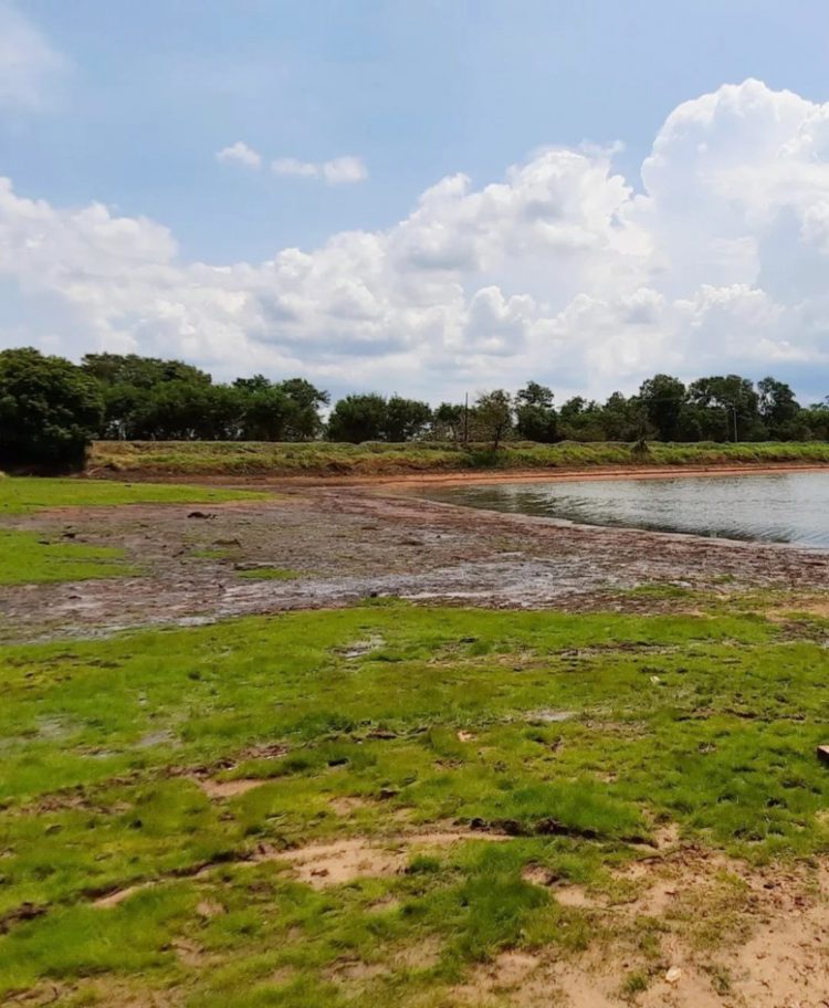 Defesa Civil Nacional reconhece situação de emergência em Querência do Norte